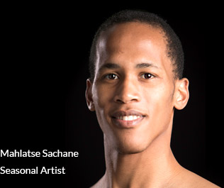 Mahlatse-Sachane-Seasonal-Artist